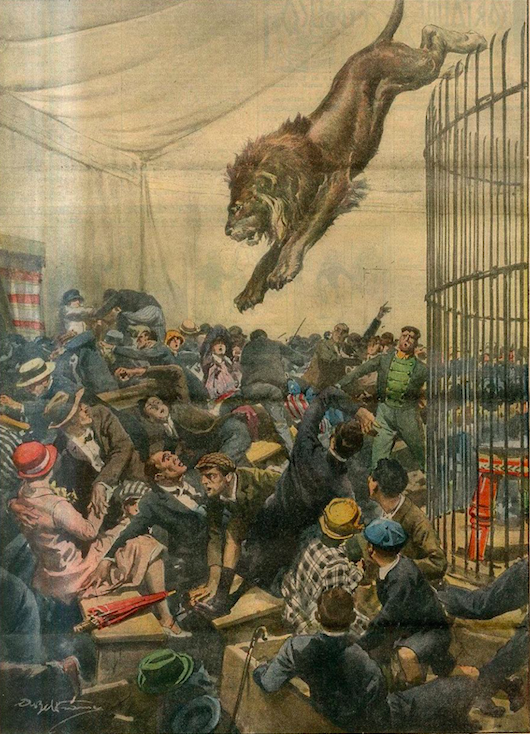 Insecure Ruthless Animals Animals may be Ruthless, but only Humans can be Evil – The Contemporary ...